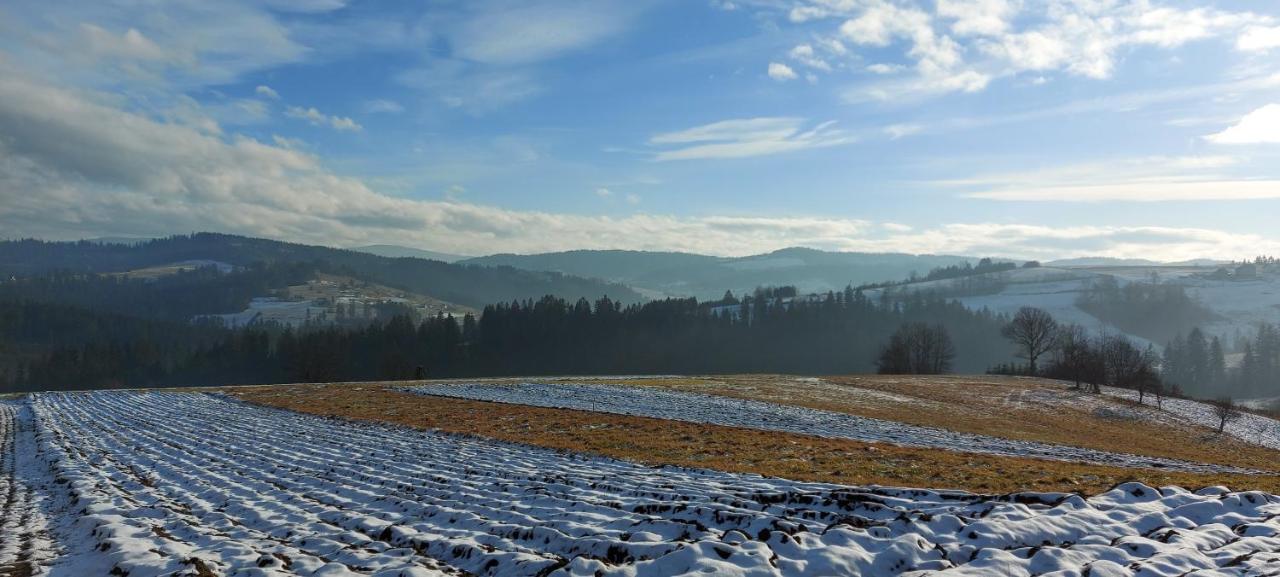 Domek Do Wynajecia Skoski Jaworzynka Exteriér fotografie