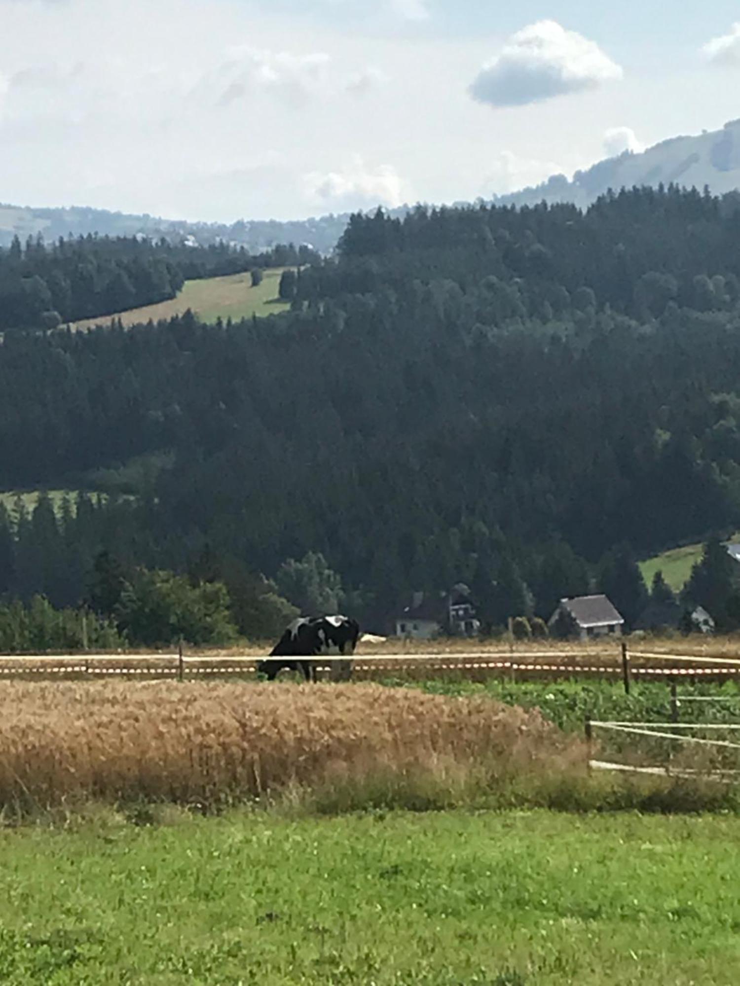 Domek Do Wynajecia Skoski Jaworzynka Exteriér fotografie